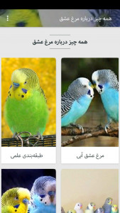 اسکرین شات 2 برنامه همه چیز درباره مرغ عشق