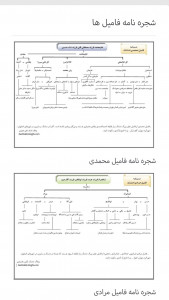 اسکرین شات برنامه دشتک سیتی 3