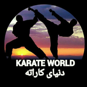 اسکرین شات برنامه دنیای کاراته 1