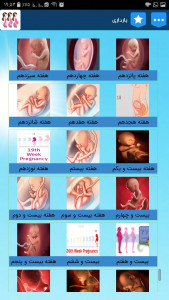 اسکرین شات برنامه بارداری هفته به هفته + تغذیه و دانستنی ها 4