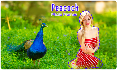اسکرین شات برنامه Peacock Photo Frames 4