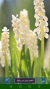 اسکرین شات 3 برنامه پس زمینه طبیعت 3