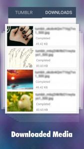 اسکرین شات برنامه Downloader for Tumblr 4