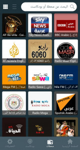 اسکرین شات برنامه Radio Egypt - Radio FM 4