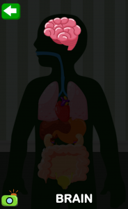 اسکرین شات 8 بازی Body Parts for Kids