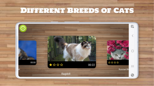 اسکرین شات 2 بازی Cat Puzzle Game