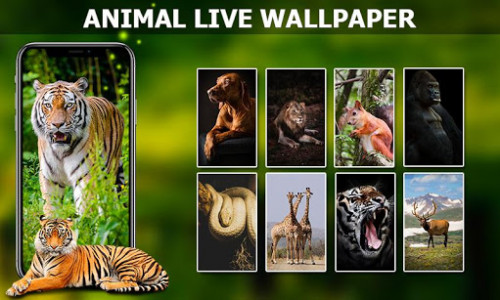 اسکرین شات برنامه Live Wallpapers Animated, Background 3D/HD/4k 2020 4