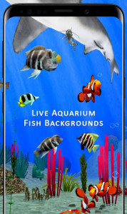 اسکرین شات برنامه Fish Aquarium Backgrounds HD Live Wallpapers Free 4