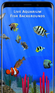 اسکرین شات برنامه Fish Aquarium Backgrounds HD Live Wallpapers Free 3