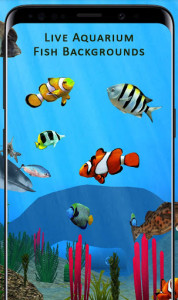 اسکرین شات برنامه Fish Aquarium Backgrounds HD Live Wallpapers Free 1