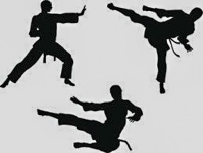 اسکرین شات برنامه Martial arts techniques 2