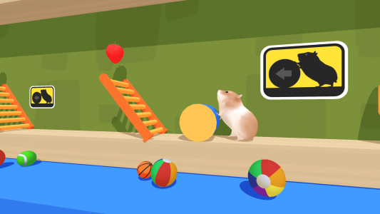 اسکرین شات بازی Hamster Maze 8
