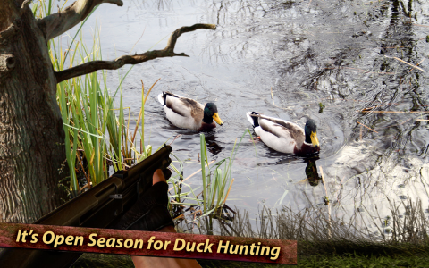 اسکرین شات بازی Wild Duck Hunting 4