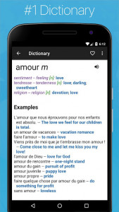 اسکرین شات برنامه French English Dictionary 1