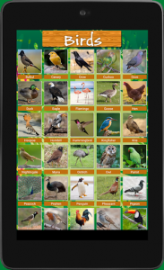 اسکرین شات برنامه 100 Animals and Birds Sound 8
