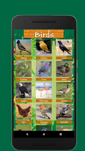 اسکرین شات برنامه 100 Animals and Birds Sound 5