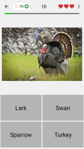 اسکرین شات 4 بازی Animals Quiz Learn All Mammals