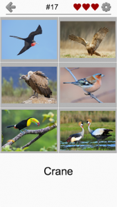 اسکرین شات بازی Bird World - Quiz about Famous Birds of the Earth 2