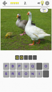 اسکرین شات 1 بازی Bird World - Quiz about Famous Birds of the Earth