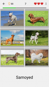 اسکرین شات بازی Dogs Quiz - Guess All Breeds! 1