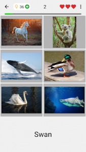 اسکرین شات بازی Easy Pictures and Words - Photo-Quiz with 5 Topics 7