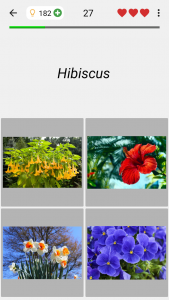 اسکرین شات بازی Flowers Quiz - Identify Plants 4