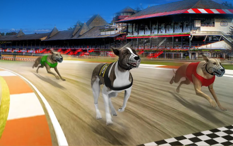 اسکرین شات بازی Pet Dog Simulator games offline: Dog Race Game 2