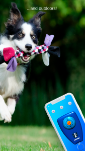 اسکرین شات برنامه Dog Clicker 3