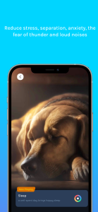 اسکرین شات 5 برنامه Relax Music for Cats and Dogs