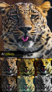 اسکرین شات 1 برنامه HD Photo Editor