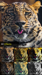 اسکرین شات برنامه HD Photo Editor 1