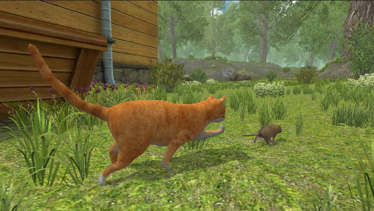 اسکرین شات بازی Mouse Simulator :  Forest Home 3