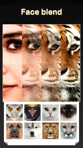 اسکرین شات 1 برنامه Beauty Face Plus :  face morph