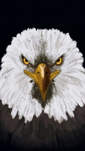 اسکرین شات 3 برنامه Eagle Wallpapers