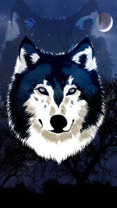 اسکرین شات برنامه Black Wolf Wallpapers 6