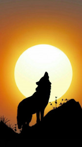 اسکرین شات برنامه Black Wolf Wallpapers 3