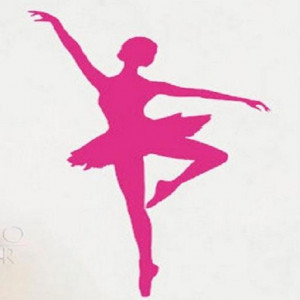 اسکرین شات برنامه learn ballet movements 4