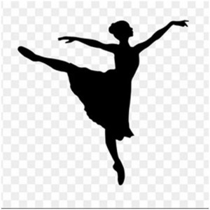 اسکرین شات برنامه learn ballet movements 5