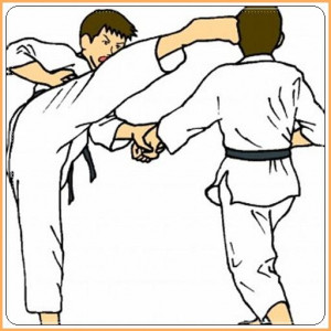 اسکرین شات برنامه learn taekwondo 1