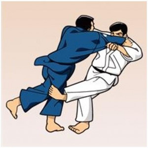 اسکرین شات برنامه learn judo techniques 1