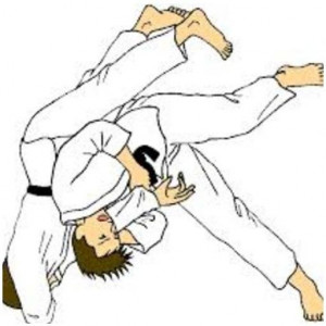 اسکرین شات برنامه learn judo techniques 2