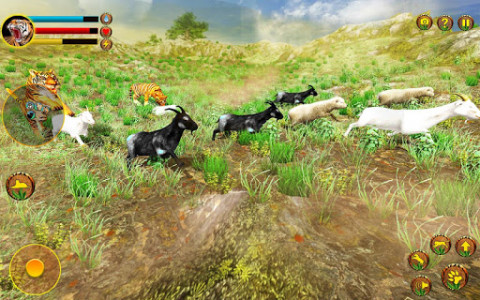 اسکرین شات بازی Wild Tiger Simulator 3d animal games 5