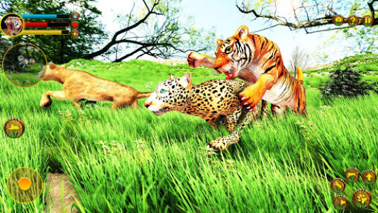 اسکرین شات بازی Wild Tiger Simulator 3d animal games 6