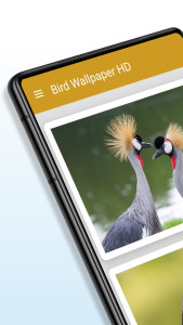 اسکرین شات 1 برنامه Bird Wallpaper HD