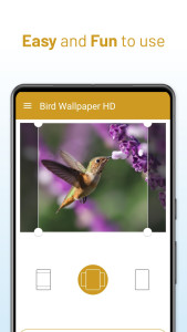اسکرین شات 3 برنامه Bird Wallpaper HD