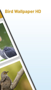 اسکرین شات 2 برنامه Bird Wallpaper HD