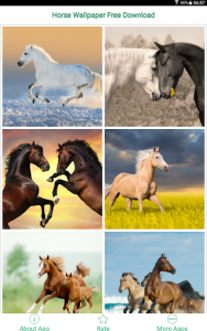 اسکرین شات برنامه Horse Wallpaper Free Download 5