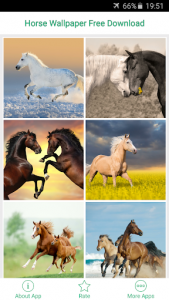 اسکرین شات برنامه Horse Wallpaper Free Download 2