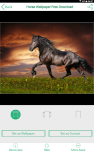 اسکرین شات برنامه Horse Wallpaper Free Download 6