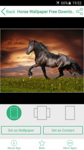 اسکرین شات برنامه Horse Wallpaper Free Download 3